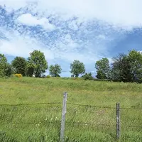 Ce 10 mars, le comité de pilotage du site Natura 2000 de l’Aubrac s’est tenu à Nasbinals. L’occasion de rappeler l’importance des mesures environnemen