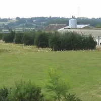 Ce bâtiment orienté Est-Ouest est entouré de différents types de haies. Au sud (à droite de la photo), une haie d’arbres de haute tige a été implantée