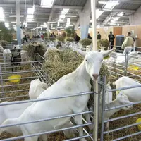 La prochaine édition du salon Capr’Inov se déroulera les 25 et 26 novembre 2020.