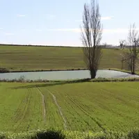 Le président de la République a présenté le 30 mars une cinquantaine de mesures visant à améliorer la gestion de l’eau dans l’Hexagone. L’agriculture