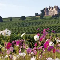 Comment se distinguer d'un voisin riche et célèbre ? Dans l'ombre du Bordelais, des vignerons décomplexés parient sur leurs spécificités, leur terroir