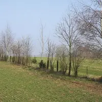 L’association française d’agroforesterie a lancé mi-novembre la campagne de financement « 1 jour, 1 agriculteur, 1 territoire » avec son fonds Af-ter,