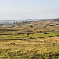 Le premier prix a été décerné à Bernard Prunières, pour sa prairie de 3,5 hectares située au bord du Nasbinals.