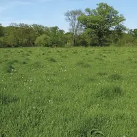 Au printemps, le marquage des anciens bousats, où l’herbe est plus haute et verte, exprime une pauvreté du sol.