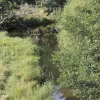 La définition d'un cours d'eau est basée sur trois critères cumulatifs : la présence et la permanence d'un lit, naturel à l'origine ; un débit suffisa