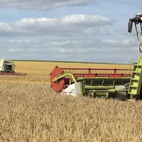 Les niveaux de consommation de céréales sont proches des niveaux de saturation dans de nombreux pays.