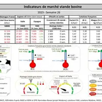 Comme chaque mercredi, voici les indicateurs de marché viande bovine, proposés par la FNB pour faciliter la lecture du marché de la viande bovine par