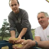 Anthony Agret et son père cultivent 50 hectares de céréales au Massegros.