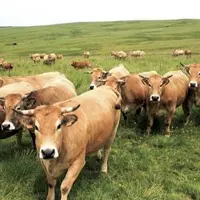 Discrète, la fondation Carasso est le poids lourd de la philanthropie dans le domaine de l’agriculture et de l’alimentation, avec près de 5 millions d