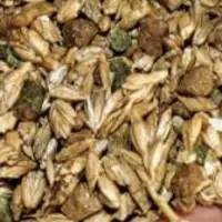 L’unité mixte de recherche sur les herbivores (UMRH) à l’Inrae de Theix (63) mène diverses recherches concernant les stratégies qui pourraient permett