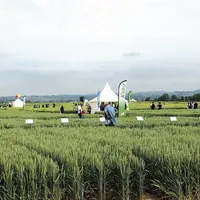 Plus de 500 personnes ont foulé les allées de la plateforme agronomique de Loire Auvergne Agro, allant d’atelier en atelier, de parcelle en parcelle.