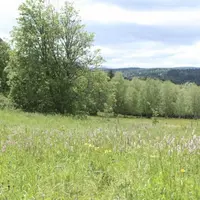 Lancés dans sept communes du parc de l'Aubrac, les atlas de la biodiversité communale fournissent des résultats encourageants sur la connaissance des
