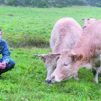 David Cayrel, producteur de génisses Fleur d'Aubrac.