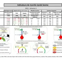 Comme chaque mercredi, voici les indicateurs de marché viande bovine , proposés par la FNB pour faciliter la lecture du marché de la viande bovine par