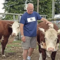 La race Hereford est réputée pour sa grande rusticité et sa docilité.