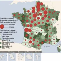 Alors que le plan de réduction des pesticides marque le pas à l'échelle nationale, la Lozère est l'un des départements de France avec la plus faible u