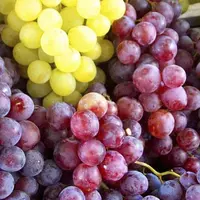 Le raisin de table, noir ou blanc, est le sixième fruit le plus consommé par les Français.