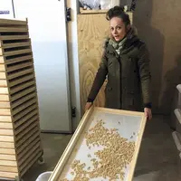 Émilie Hecquet, productrice de pâtes fermières.