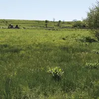 Pour célébrer le travail des agriculteurs et des pâturages, l'Ipamac diffuse une série de vidéos sur les pâturages dans les parcs naturels.