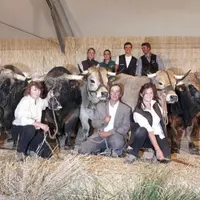 Le gaec Batifol a remporté le prix de famille avec Déluge.