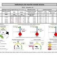 Comme chaque mercredi, voici les indicateurs de marché viande bovine, proposés par la FNB pour faciliter la lecture du marché de la viande bovine par