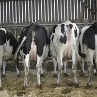Le Net'traite est un diagnostic réalisé par les techniciens de la chambre d'agriculture, qui vient en complément de l'Opti'traite.