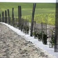 Le gouvernement envisagerait de consacrer 110 millions d'euros par an à son pacte de la haie, alors que les arbitrages finaux tardent à venir. Si cert