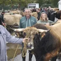 Au sommet de l'élevage à Cournon, les lozériens ont remporté (presque) tous les honneurs.