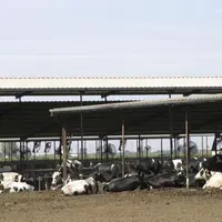 Le Congrès américain devrait commencer ses travaux sur le nouveau Farm bill, la loi agricole des États-Unis, censé entrer en vigueur début 2024. Mais