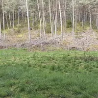 L'hectare de forêt dévolu aux futurs plans de la pépinière est en train d'être construit : la clôture en bois est en cours d'installation.