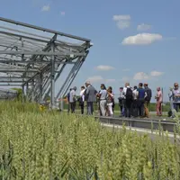 Les membres du Gnis devant le dispositif Phéno3C à l'Inra de Crouël (63), où sont étudiés les comportements de différentes variétés de blés, face à de