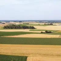 Séisme logistique en Ukraine, chambardement des flux de blé mondiaux, substitutions entre céréales, changements de pratiques financières… Plus d’un an