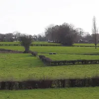 Le ministère de l'Agriculture doit préciser, le 8 juin, la manière par laquelle il souhaite atteindre une baisse de 25 millions de tonnes de CO2 équiv