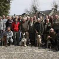 Au total, 96 participants et une trentaine de chiens d’arrêt.