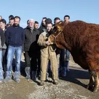 Vendredi 14 janvier, les agriculteurs du syndicat limousin de la Lozère se sont réunis aux Hermaux pour leur traditionnelle assemblée générale. L'occa