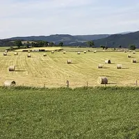 Focus cette semaine sur les conséquences d'ores et déjà identifiées de la mise en oeuvre de la convention collective sur le bulletin de paie. L'entrée