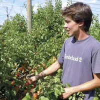Nicolas Godard chef de culture arboricole au « soleil des collines » à Bren dans la Drôme.
