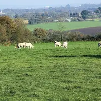 La volonté de la Commission européenne de moderniser le réseau européen d'information comptable agricole rencontre des réticences chez les États membr