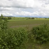 « Les arbres sont un capital qui peut rassurer des financeurs », explique Stéphane Hekimian de la Mission haies Auvergne.