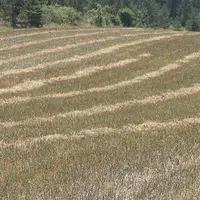 Il est possible de souscrire à l’assurance prairies de Groupama depuis le 18 janvier.