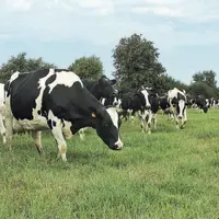 La réussite de la conversion en bio, c’est le succès de l’alimentation humaine et animale qui dépend de la réussite des éleveurs bio.