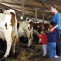 Depuis le début de l'année, les mesures de la politique agricole commune sur l'installation et la transmission sont davantage régionalisées. Ainsi, en