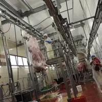 En race à viande, c’est le ralentissement de la capitalisation, après plusieurs années de croissance du cheptel, qui entraîne une augmentation des aba