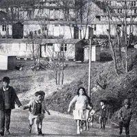 Dans les années soixante, des harkis rapatriés d'Algérie ont participé à la replantation d'une partie des forêts de Lozère. Une histoire méconnue qui