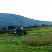 Le résultat net agricole français est en progression de 15,5 % sur un an.