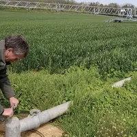 Les pluies du mois de mars ont permis de bien valoriser les apports d'azote et permettent de tenir les sondes tensiomètriques à des niveaux assez bas