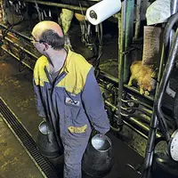 Il y a toujours besoin de main-d’œuvre pour remplacer les agriculteurs sur leurs exploitations.
