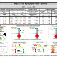 Comme chaque mercredi, voici les indicateurs de marché viande bovine , proposés par la FNB pour faciliter la lecture du marché de la viande bovine par