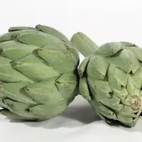 Une fois plantés, les artichauts peuvent donner au moins pendant six ans. Mais ne comptez pas dessus la première année de la plantation, ni même la de