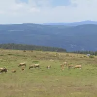 L’agriculture de montagne, bien qu’handicapée par les contraintes physiques, génère une économie à très haute valeur ajoutée.